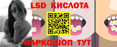 прущие грибы Бийск