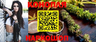 прущие грибы Бийск