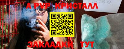прущие грибы Бийск