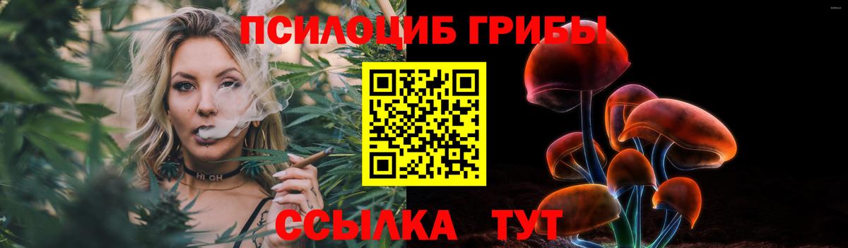 Псилоцибиновые грибы MAGIC MUSHROOMS Канаш